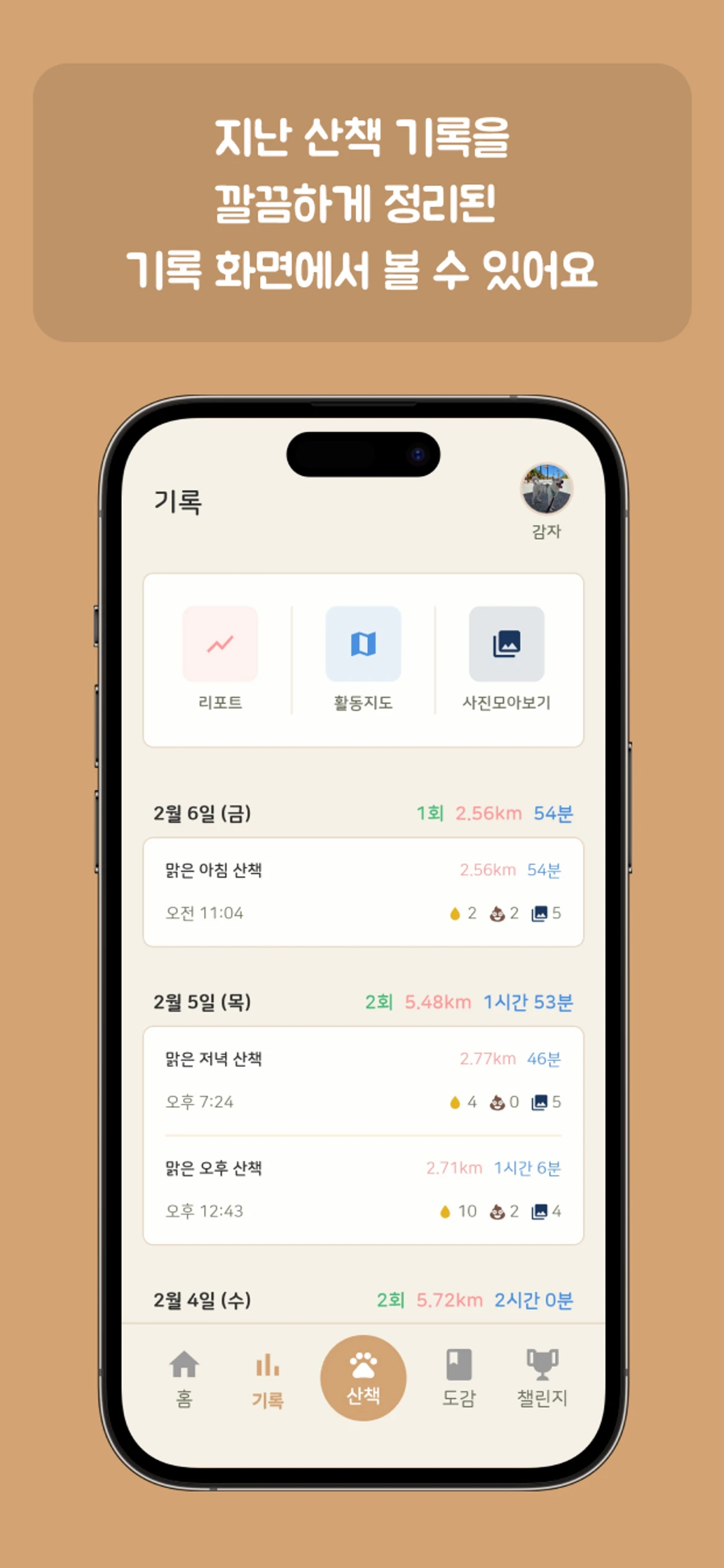 댕댕워크 스크린샷 3