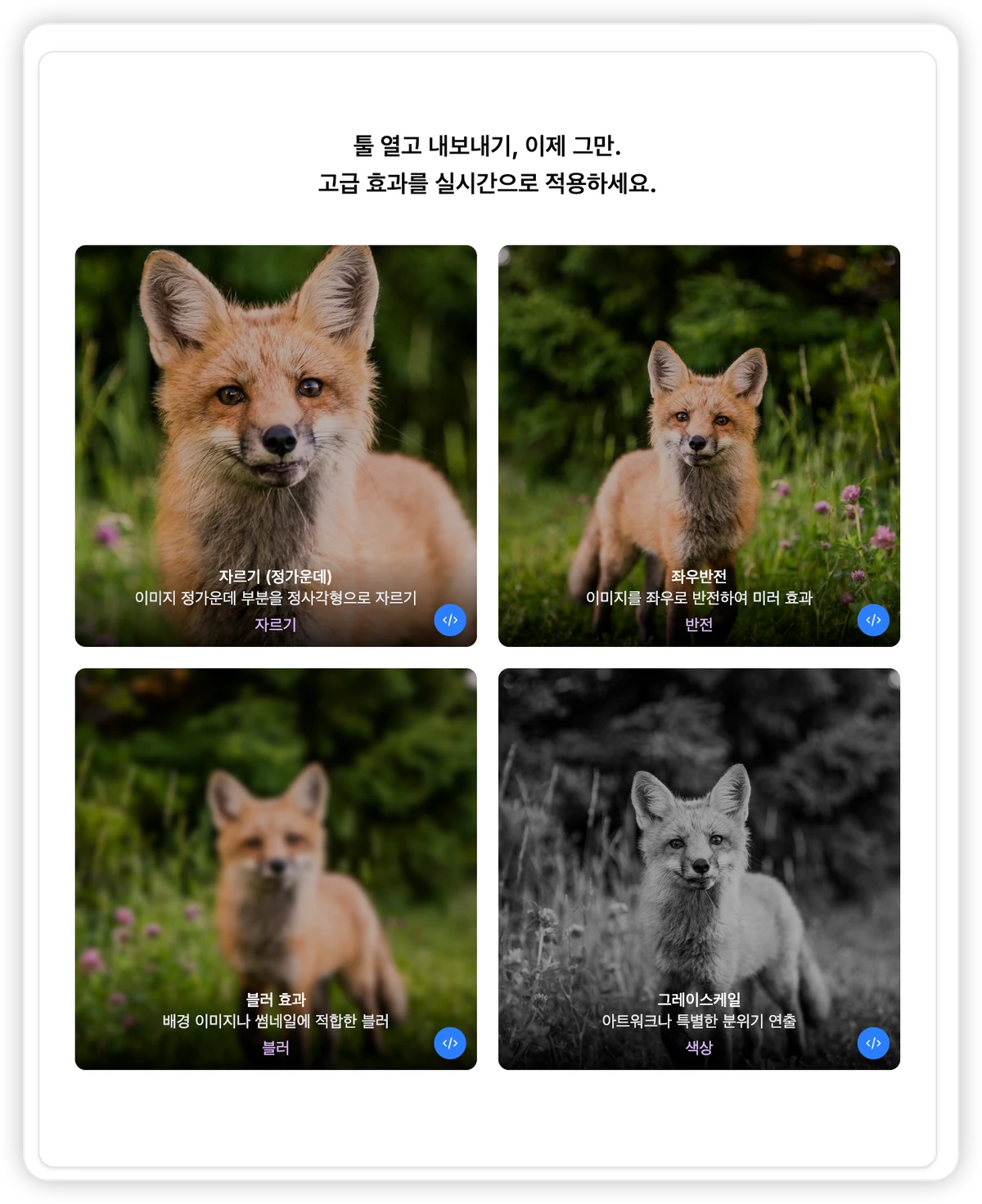 스냅킷 스크린샷 2