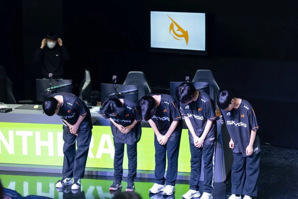 판테라 이스포츠 스크린샷 4