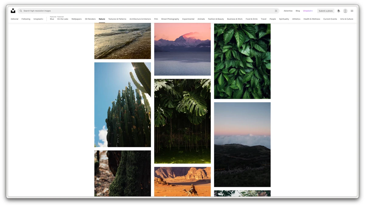 Unsplash 언스플래쉬 스크린샷 3