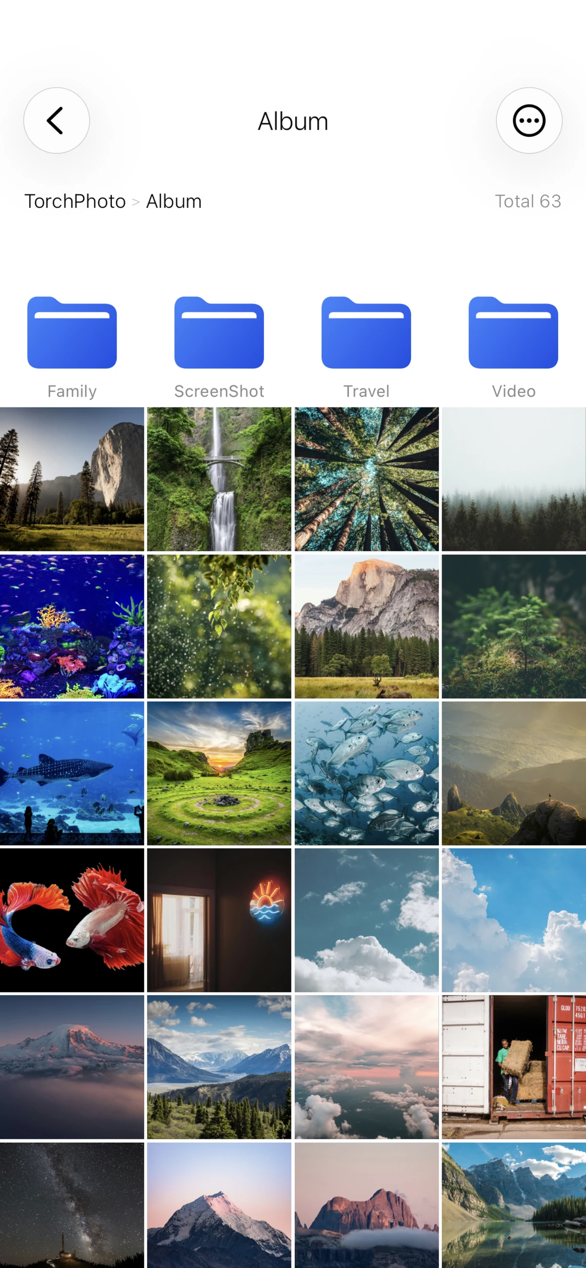 TorchPhoto FTP 앨범 뷰어 스크린샷 2