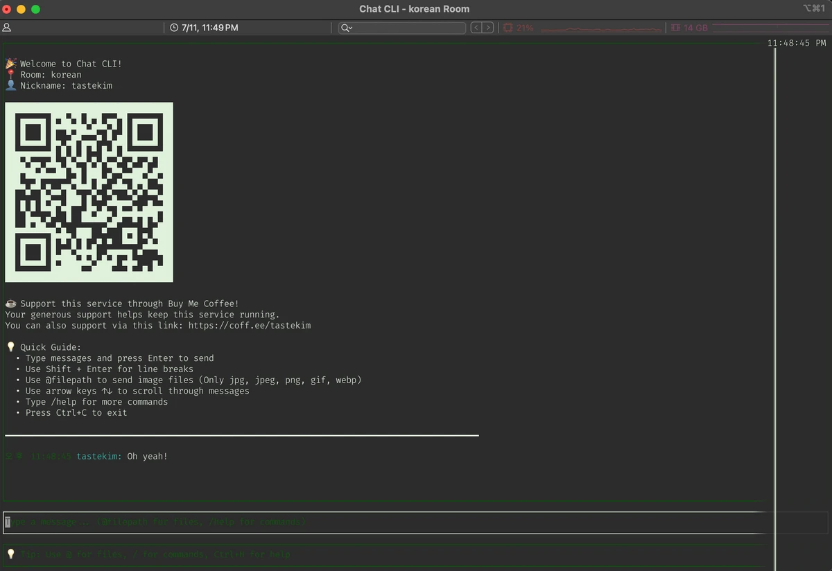 Chat CLI 스크린샷 1