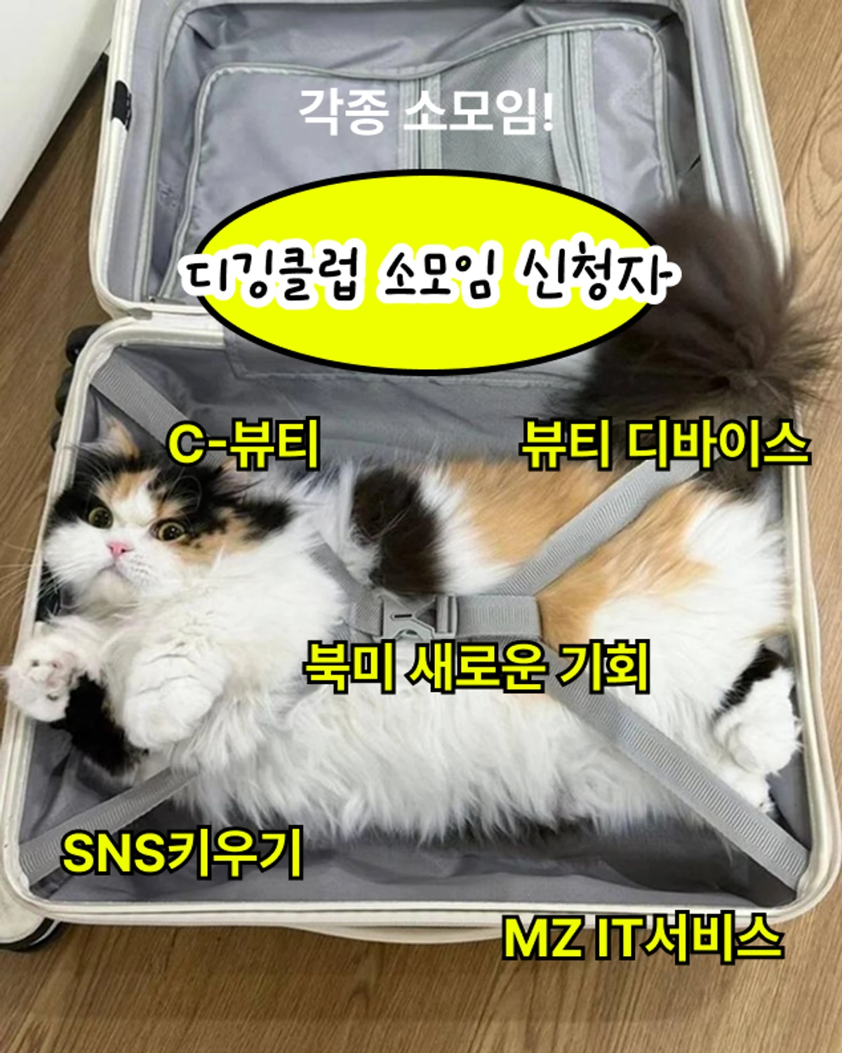 브랜드 디깅 클럽 스크린샷 3