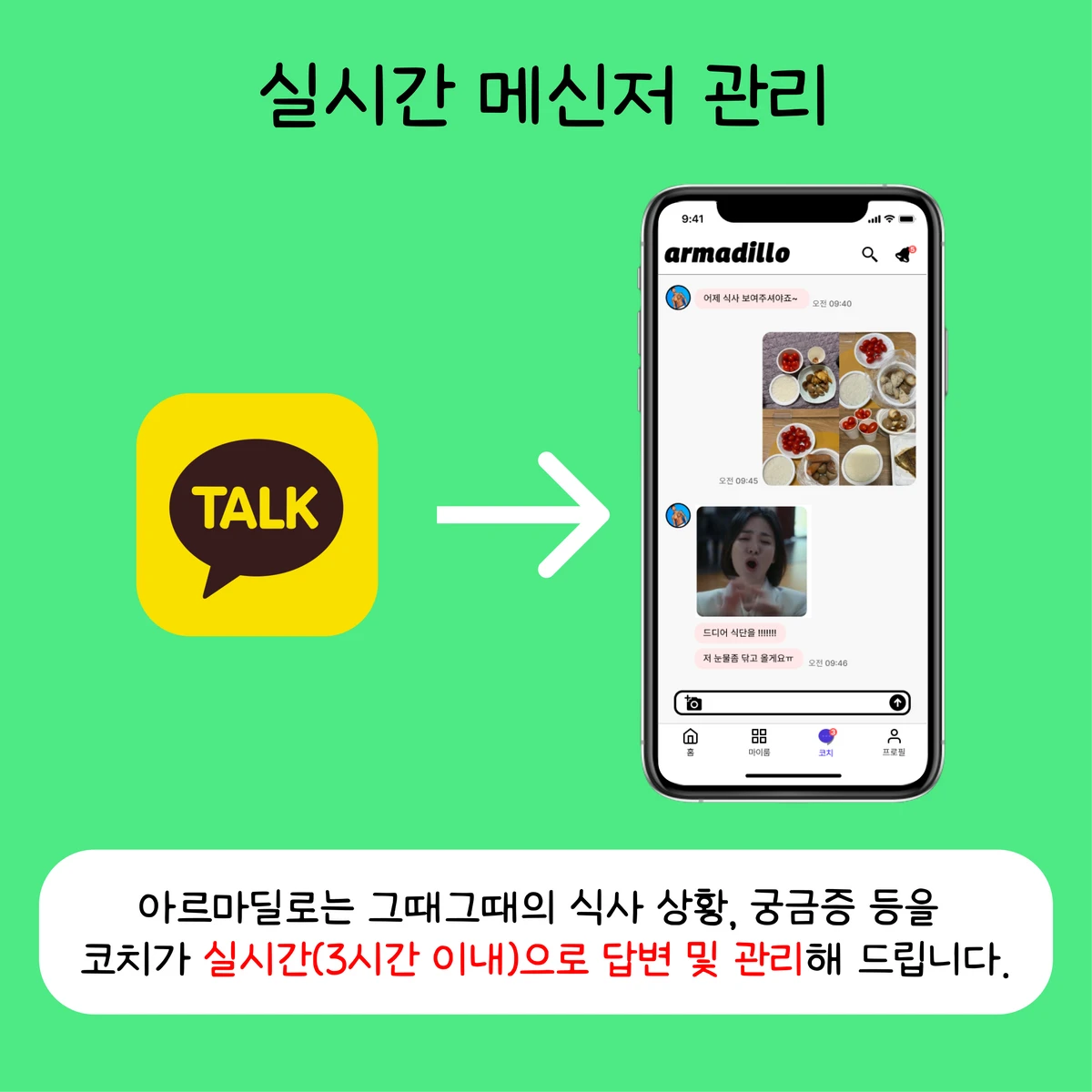 armadillo 스크린샷 2