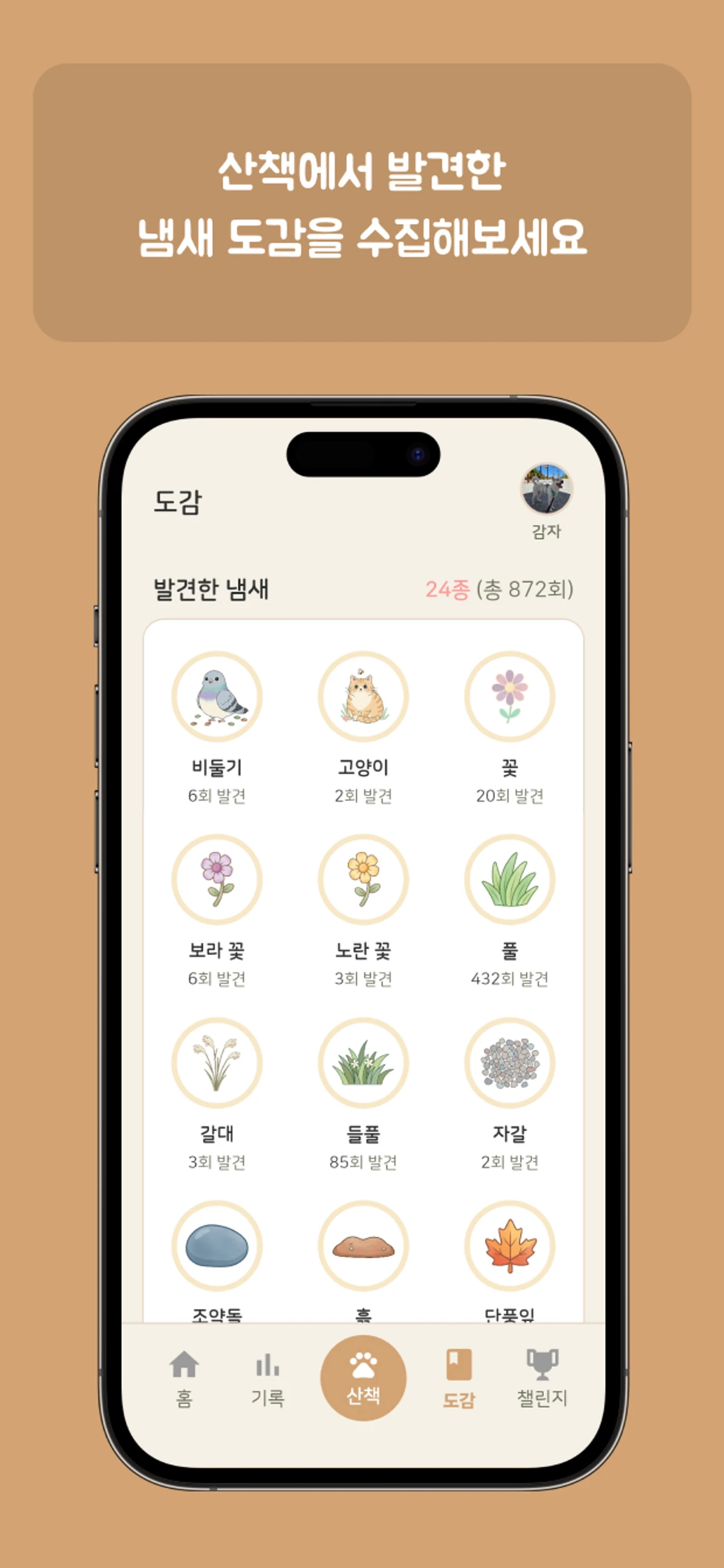 댕댕워크 스크린샷 4