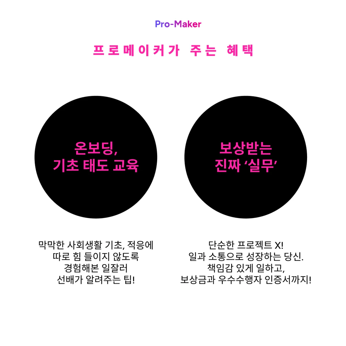 프로메이커 스크린샷 2