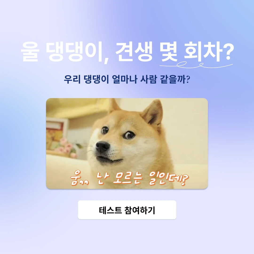 견생 몇 회차 로고