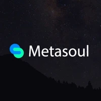 메타소울 로고