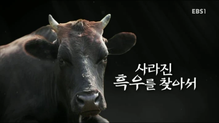 쿠키런 현질 효율 계산기 로고