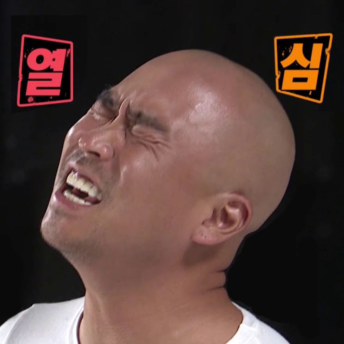회사 생존력 테스트 로고