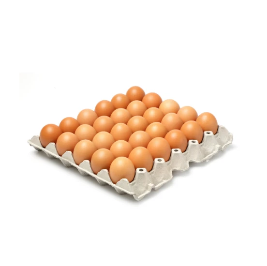 계란 한 판 에세이 로고