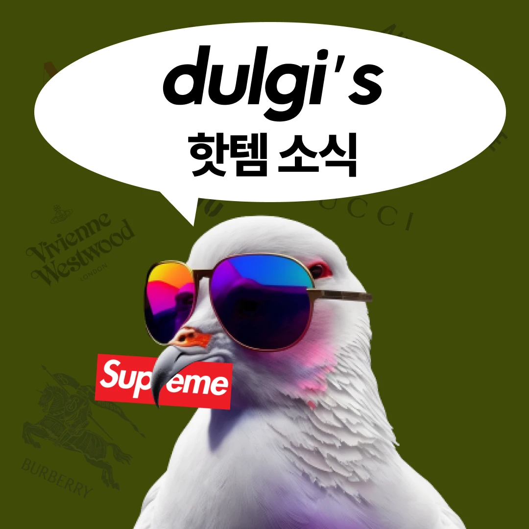 dulgi 로고